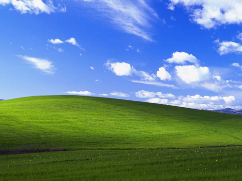 Windows XP's "Bliss" Background: A Blissful Happenstance