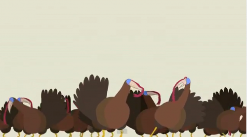 Turkey Dubstep Animation Is Awesome