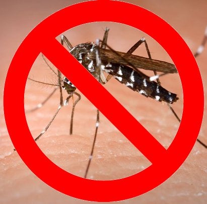 Help Combat the Spread of West Nile Virus Mosquito Vectors with Acase's InaTrap