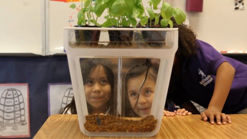 Gear Diary Home Aquaponics Kit: A Self Cleaning Fish Tank that Grows Food photo Gear Diary Home Aquaponics Kit: A Self Cleaning Fish Tank that Grows Food photo